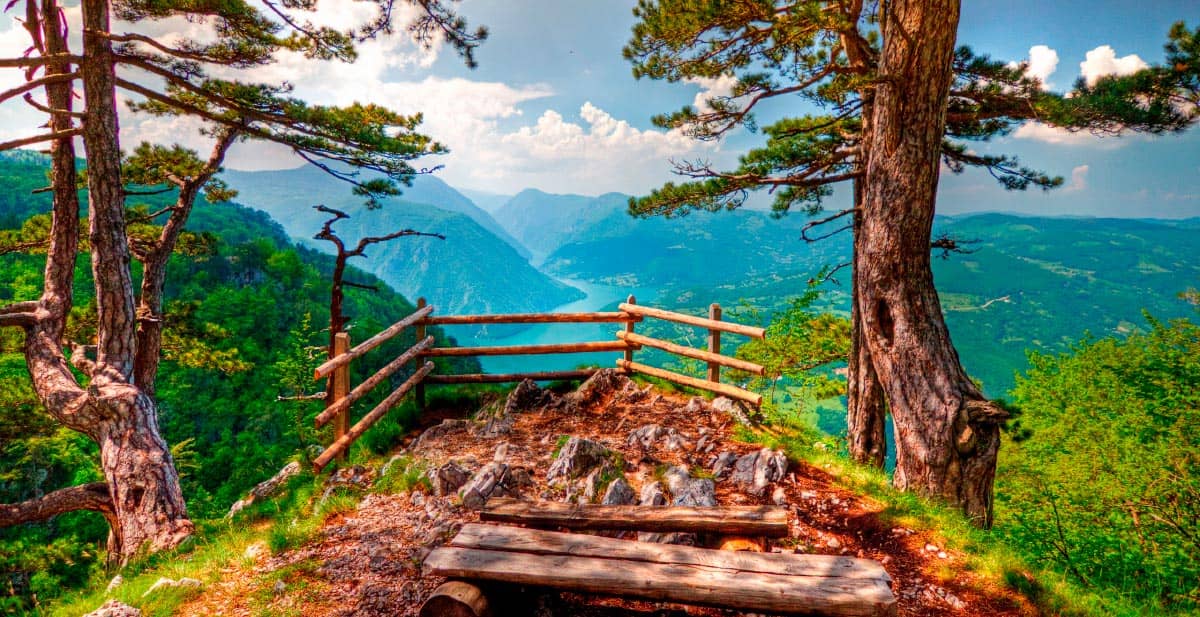 Planina Tara u okolini pcelarskog gazdinstva Blago Tare