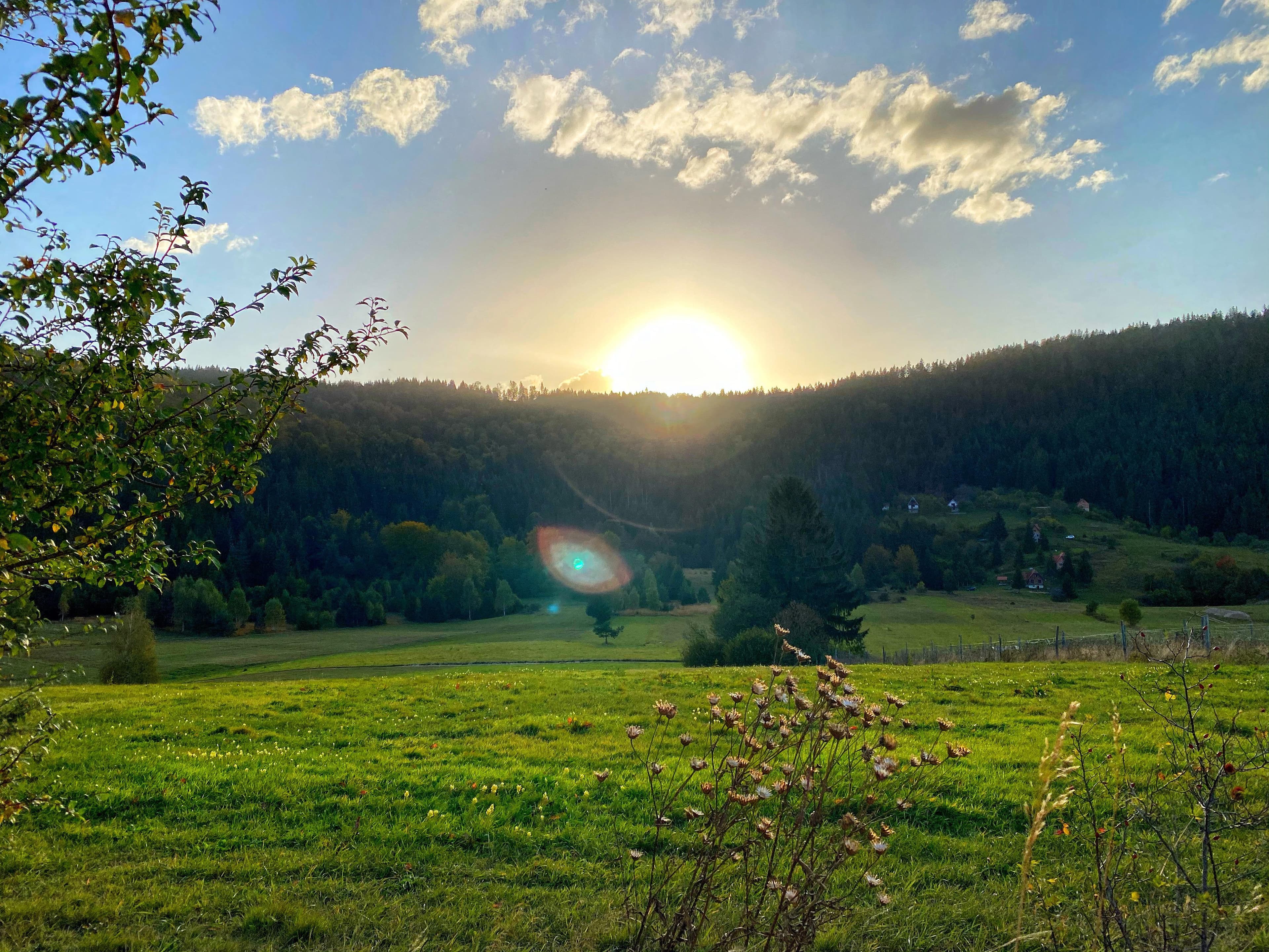 Planina Tara u okolini pčelarskog gazdinstva Blago Tare